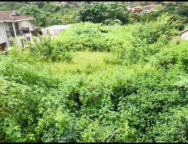 LAND FOR SALE IN NAGINA